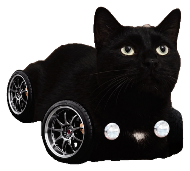 A black cat loafed on four alloy wheels with two round headlights on its chest, like a small car